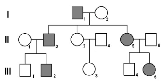 Questões de Biologia - Árvore genealógica - 2015